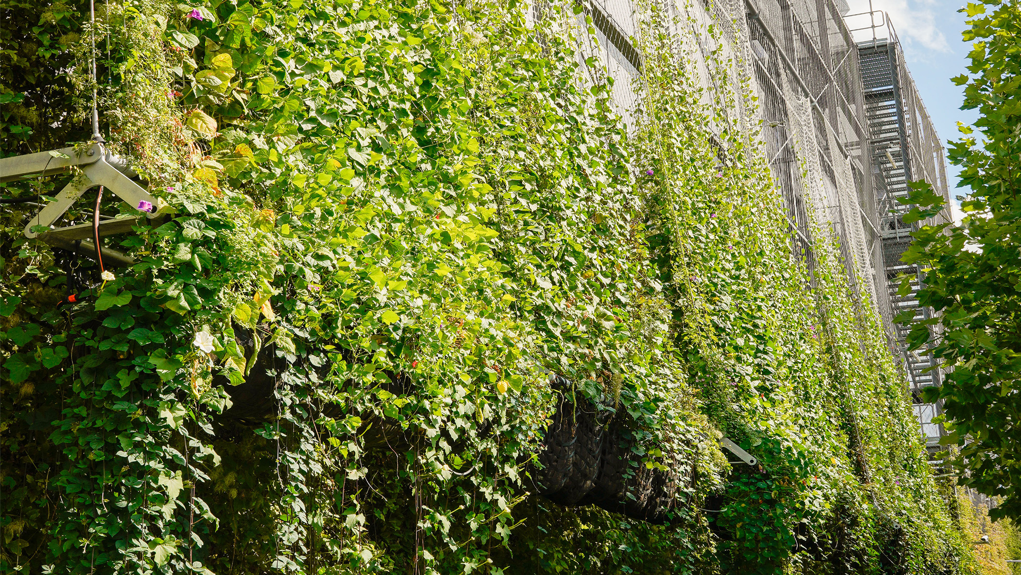 VERD° FACADE, Rendering