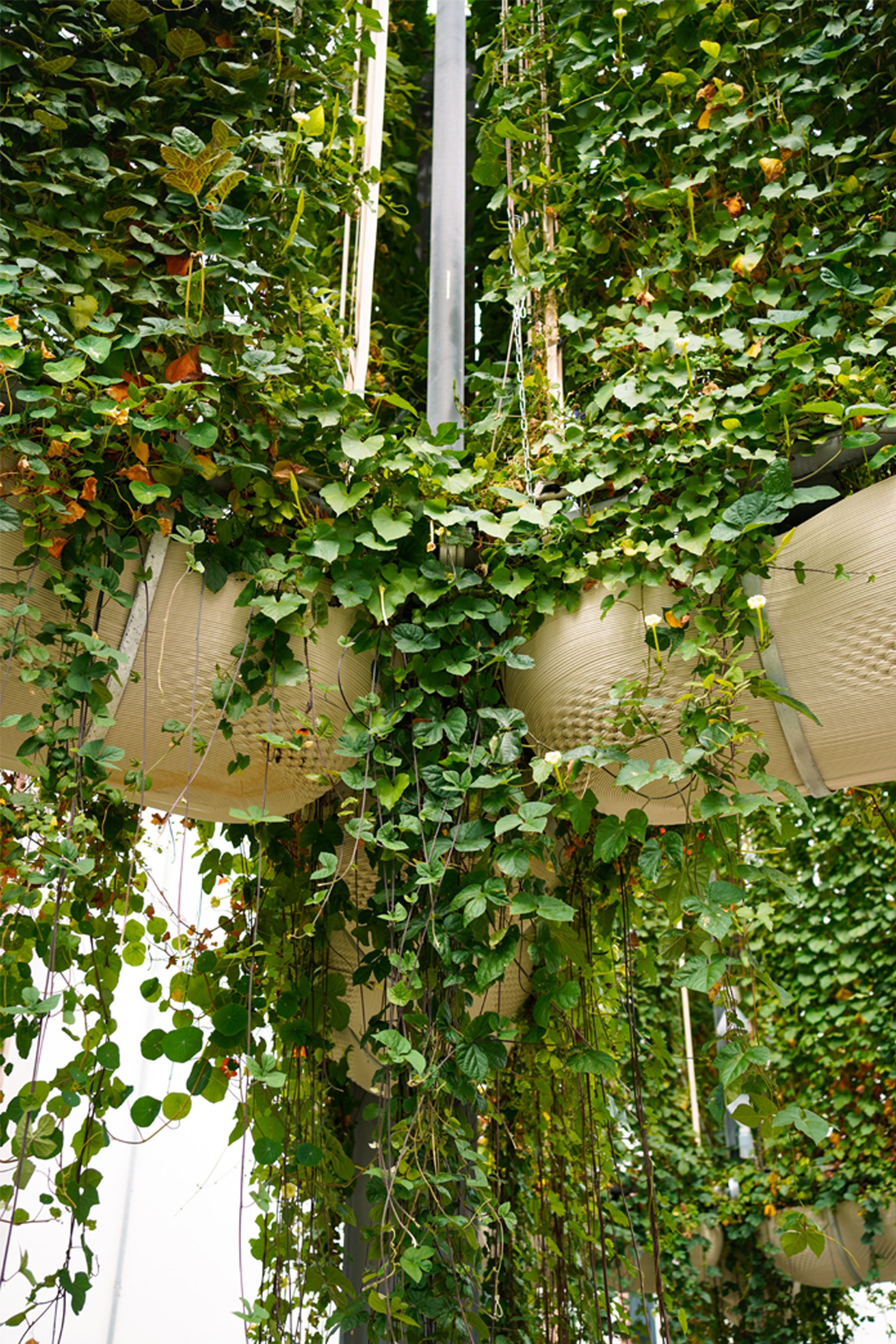 VERD° Prototype, planters